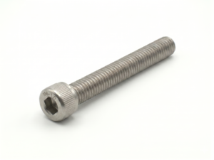M6 SS Socket Boltu