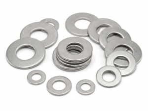 SS Plain Washer