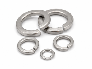 SS Spring Washer